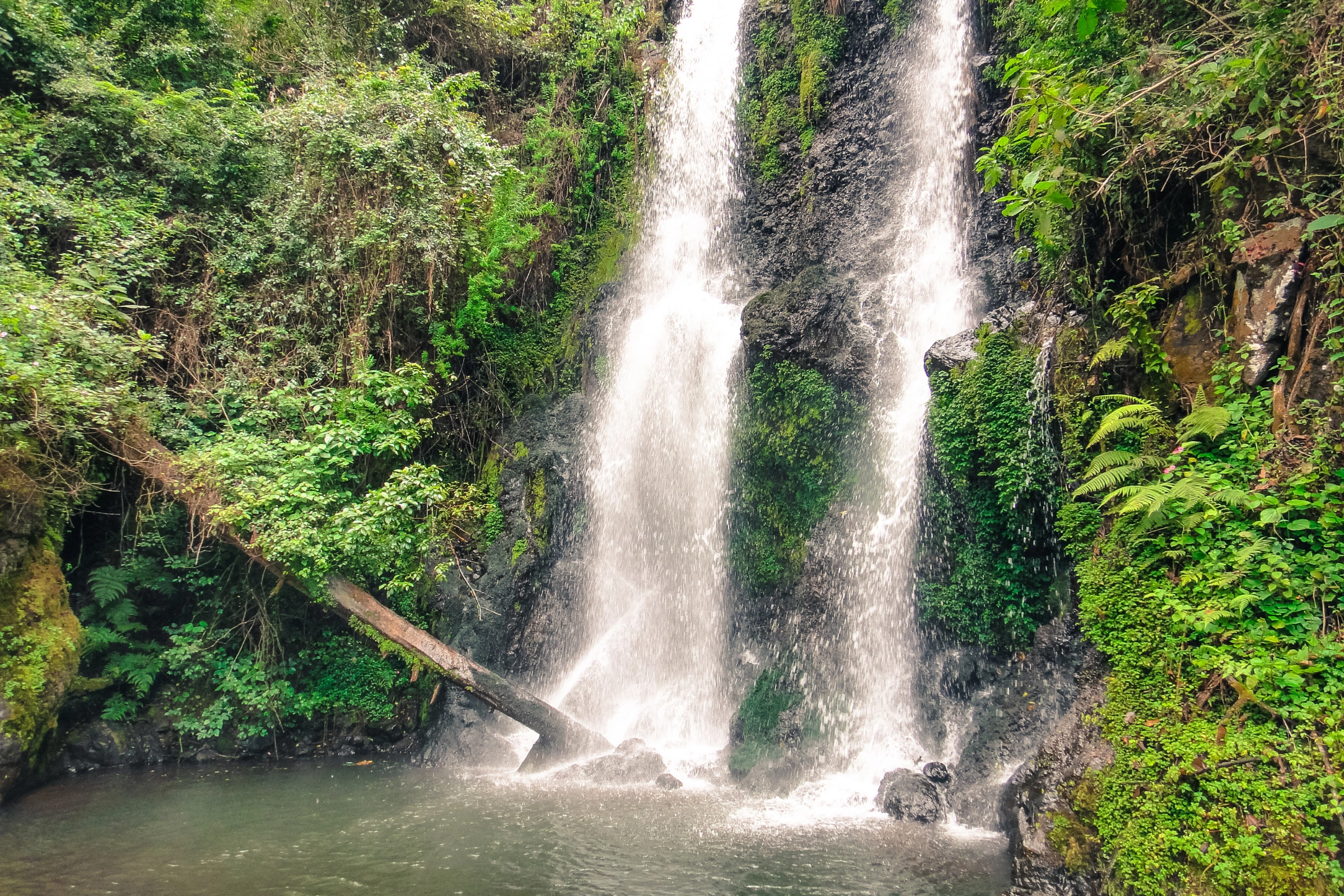 Marangu[1].webp